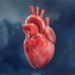 AI Is Extremely Effective in Diagnosing Heart Disease