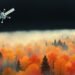 Satellites and AI Transform Global Forest Carbon Storage Counting