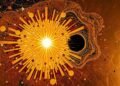 A Black Hole Crushed Star Illuminates the Universe