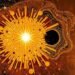 A Black Hole Crushed Star Illuminates the Universe