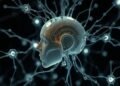 The Surprising Evolving Mysteries of How AI Thinks