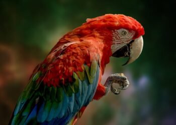 Parrot Raises $11M for Its AI Transcription Service