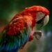 Parrot Raises $11M for Its AI Transcription Service