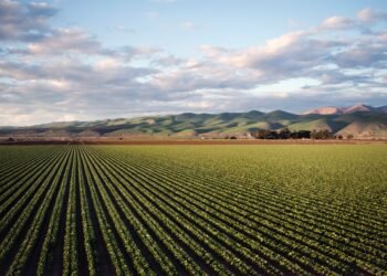 The Great Potential of Nano-enabled AI Agriculture